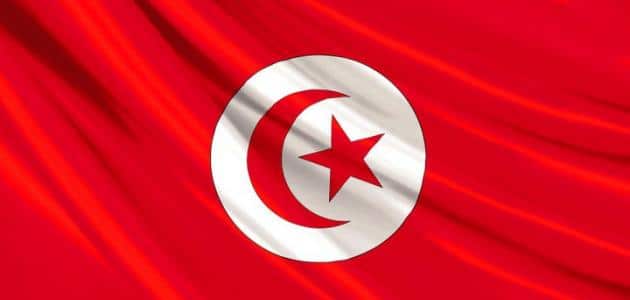 برنامج الأمان الاجتماعي تونس 2024