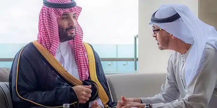 محمد بن سلمان ومحمد بن زايد