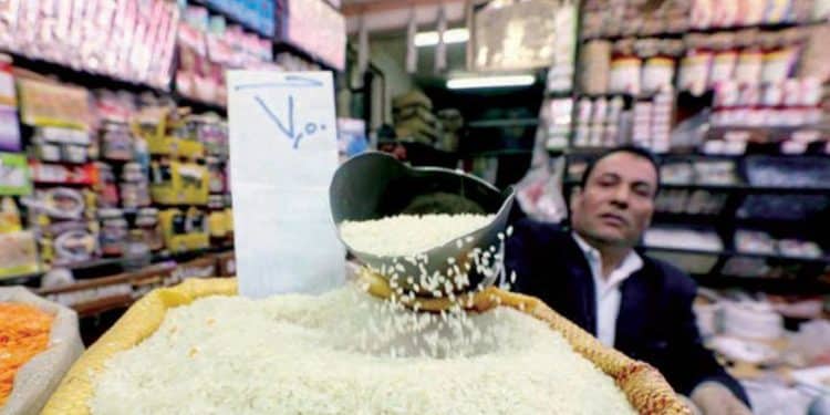 سعر طن الآرز الشعير في مصر