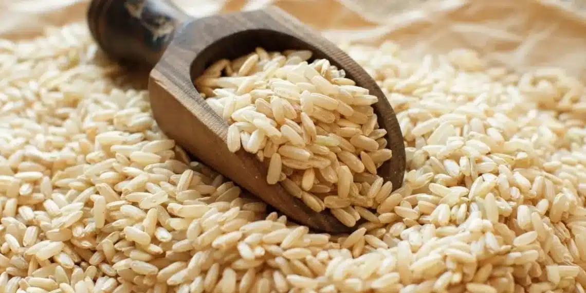 أسعار الأرز الشعير