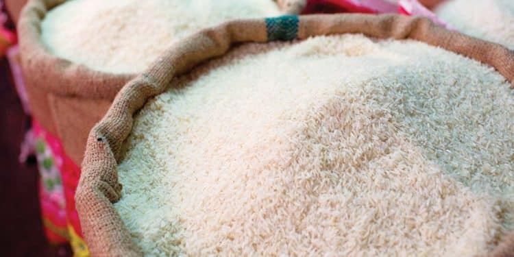 أسعار الأرز الشعير اليوم في مصر
