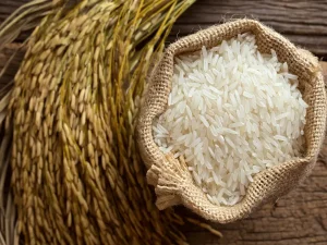 سعر الأرز الشعير اليوم في مصر