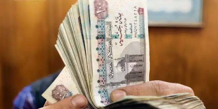 منحة وزارة التضامن 3000 جنيه